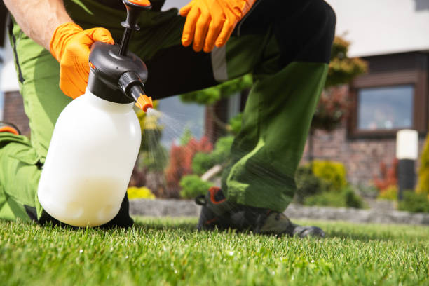 Best Pest Removal Services  in Bridge City, TX
