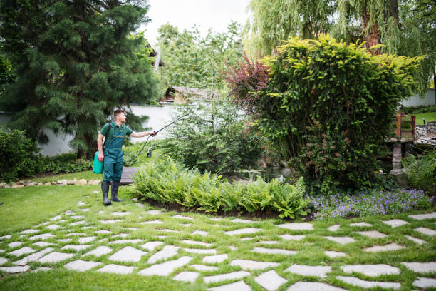 Best Best Pest Control Companies  in Bridge City, TX