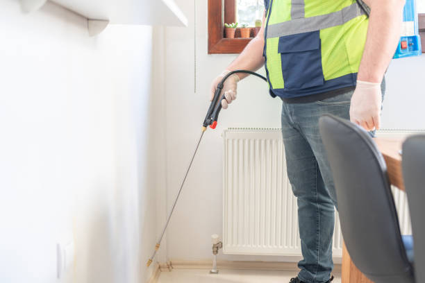 Best Pest Control Near Me in Bridge City, TX