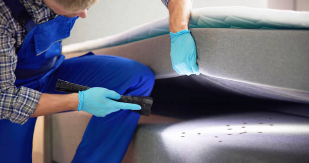Best Wasp Removal Services  in Bridge City, TX