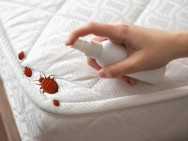  Bridge City, TX Pest Control Pros