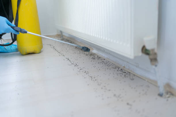 Best Wildlife Control Services  in Bridge City, TX